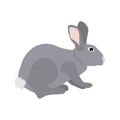 Rabbit. For use in the design of covers and brochures, flyers, icons, cards and posters.