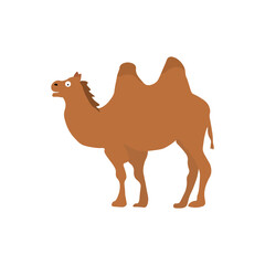 Camel. For use in the design of covers and brochures, flyers, icons, cards and posters.