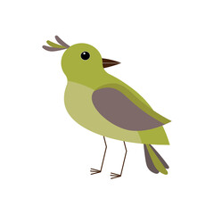 Forest bird. Vector illustration. For the design of prints, cards, flyers, clothing, packaging, brochures and covers.