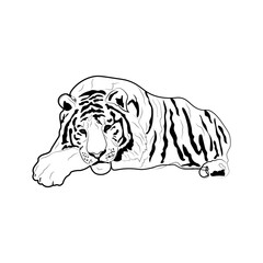 Tiger black and white. Hand drawing. Vector illustration. For the design of prints, cards, flyers, clothing, packaging, brochures and covers.