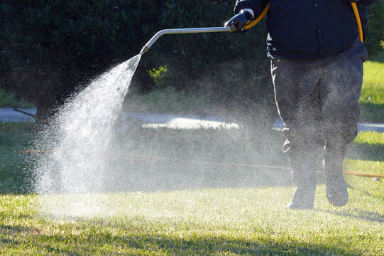 Pest Control Technician Spraying Insecticide On A Florida Lawn In The Winter.