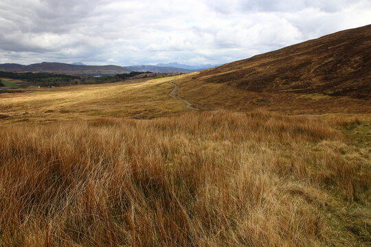Windswept moorland at Strathaird in April (John Muir Trust, Isle of Skye Peninsula, Scotland).