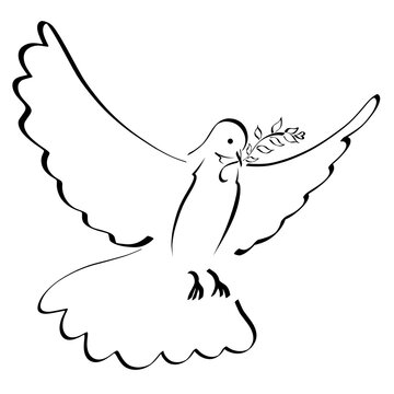 flying dove with spread wings with a twig in its beak, foliage and heart, black outline on a white background