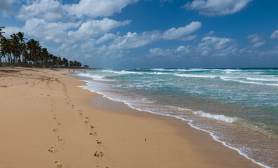 Samana beach and footprints in the sand, Dominican Republic