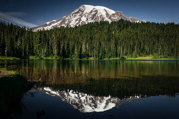 reflection in the lake