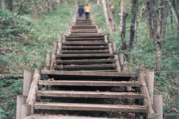 森の中の木の階段（釧路湿原展望台散策路）