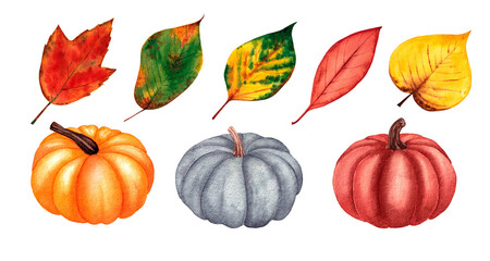 Set of watercolor pumpkins and leaves. Hand drawn illustration isolated on white background.