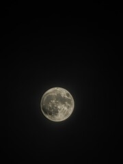 Naklejka premium Full moon in the night