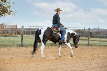 Horse Trainer with Paint Horse