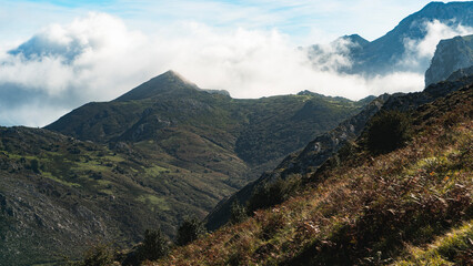 Fototapeta premium landscape with clouds