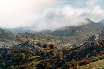 Obraz premium landscape with clouds