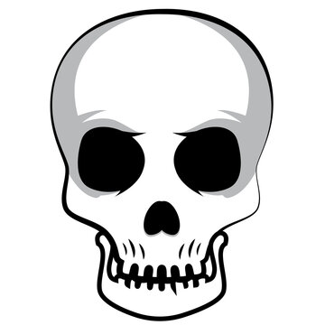 Scary skull head cartoon background image