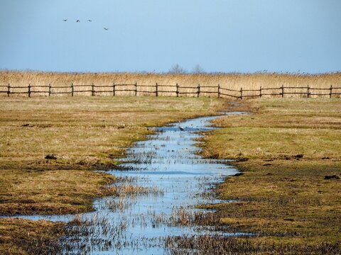 Scenic shot of the Beka nature reserve in Baltic coast, Poland