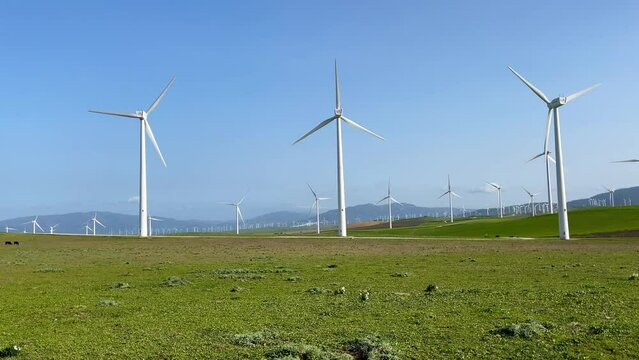 group of wind turbine in a field
