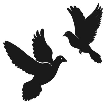 Flying pigeon silhouette background image