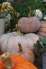 Rosegold Pumpkins