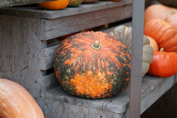 pumpkin on wooden background