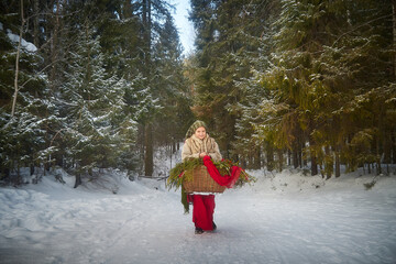 Nice cute teenager girl in old peasant clothes with hot fur coat and shawl in cold winter forest with fir trees, pines and snow on winter day. Child with basket full of green branches and red berries