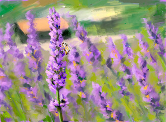 Obraz premium Violet lavender bush blooming in field. Oil painting