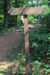sign in the forest