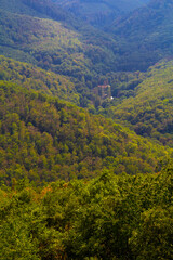 Obraz premium Hungarian landscape in the summer