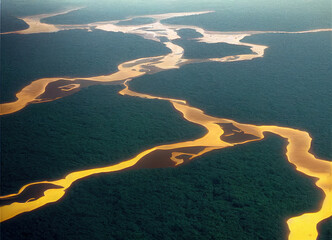 Amazon river as seen from the air