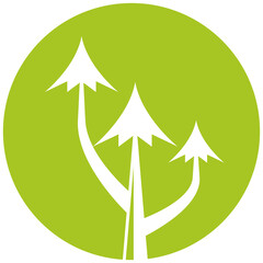 Obraz premium pine tree in green circle illustration