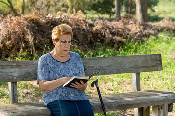 Caucasian elderly woman reading a book sitting on the park bench, on a sunny afternoon