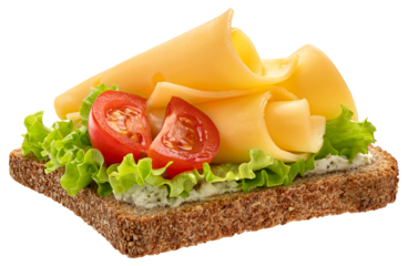 Cheese slices on rye bread isolated
