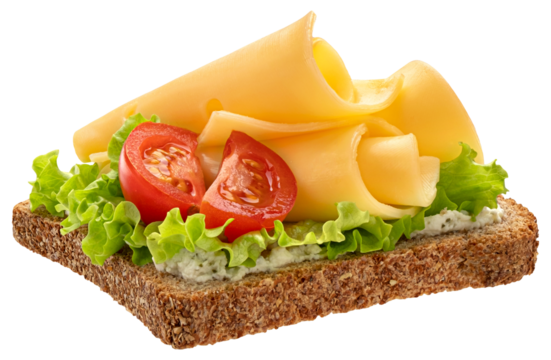 Cheese slices on rye bread isolated