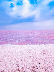 A salty pink lake with salt crystals and pink foam. An extremely salty pink lake, colored by microalgae in a crystalline color. Salt Lake Sasyk-Sivash