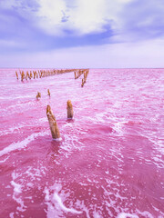 A salty pink lake with salt crystals and pink foam. An extremely salty pink lake, colored by microalgae in a crystalline color. Salt Lake Sasyk-Sivash