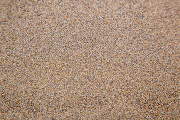 Textura de arena, fondo con marco y viñeta blanca y negra, textura de arena de mar, arena fina como fondo 