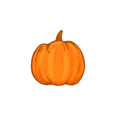 pumpkin isolated on white background. Pumpkin icon