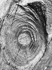 The rough surface of a wooden beam with patterns