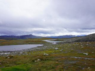 Fototapeta na wymiar Die wunderschöne Landschaft im Aurlandsfjellet in Norwegen an einem stark bewölkten Tag im sommer