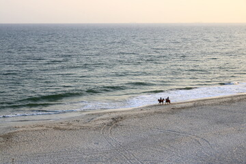 sandy beach and horses in oman, arabic sea in salalah