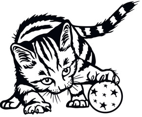 Domestic Cat, Peeking kitten - Cheerful kitty isolated on white - vector stock