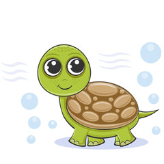 Obraz premium Vector illustration of a turtle on a white background.