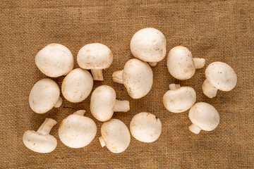 Several organic mushrooms on jute cloth, close-up, top view.