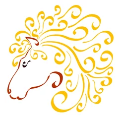 Fotobehang head of a brown horse with a lush curly yellow mane, colorful abstract pattern with curls on a white background © YuliaRafael Nazaryan