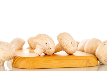 Several fresh mushrooms on a wooden tray, close-up, isolated on a white background.