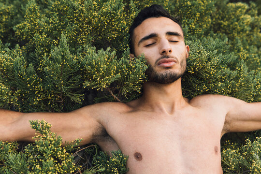 Muscular naked ethnic guy lying on green bush with closed eyes