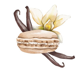 Vanilla macaron with vanilla beans and flower watercolour dessert illustration isolated on white background