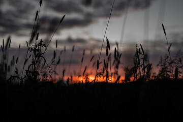 Obraz premium Sonnenuntergang im Feld