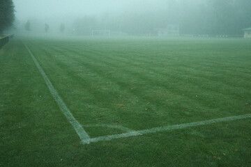 Obraz premium field with a field