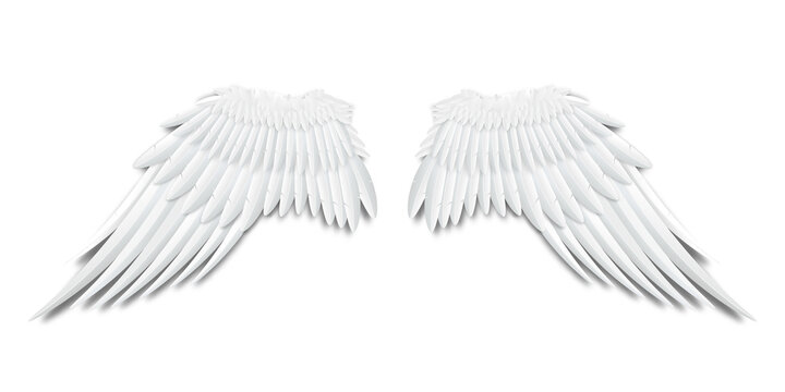 Paired angel or bird white wings template, realistic illustration isolated. Feather covered wings symbol or emblem mockup.