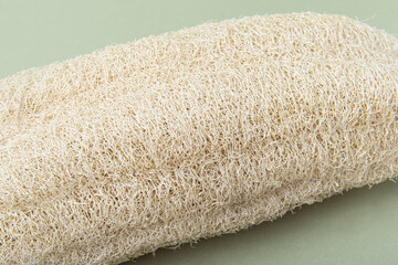 Fototapeta na wymiar Dried whole loofah on green background. Natural washcloth or sponge
