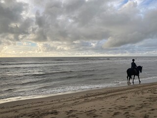 A rider with his horse on the beach at sunset