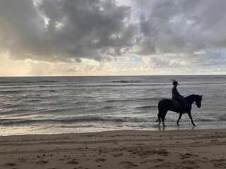 A rider with his horse on the beach at sunset